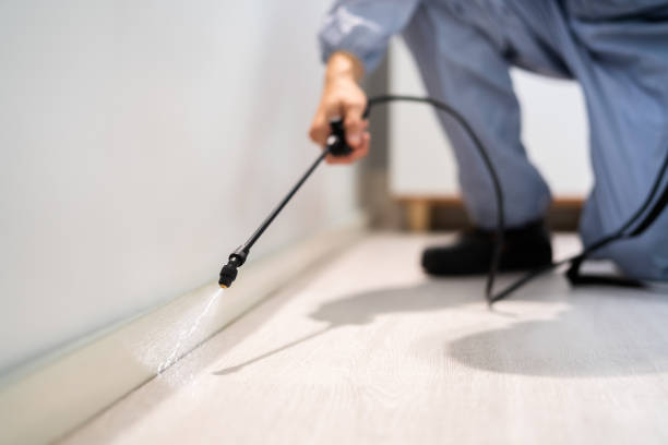 Licensed Pest Control service in Penrose, CO - Show Me Pest Control