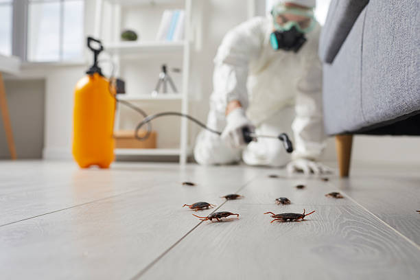 Post-Treatment Bed Bug Interceptor Monitoring in Penrose
