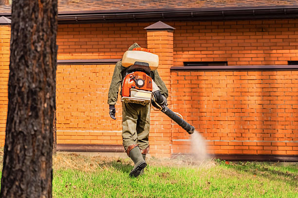 Bed Bug Clearance Verification and Documentation in Penrose